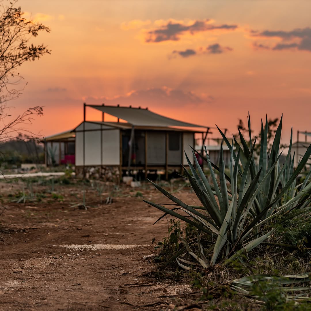 todas las tents de este glamping en la selva en Yucatán tienen vista a los campos de henequén