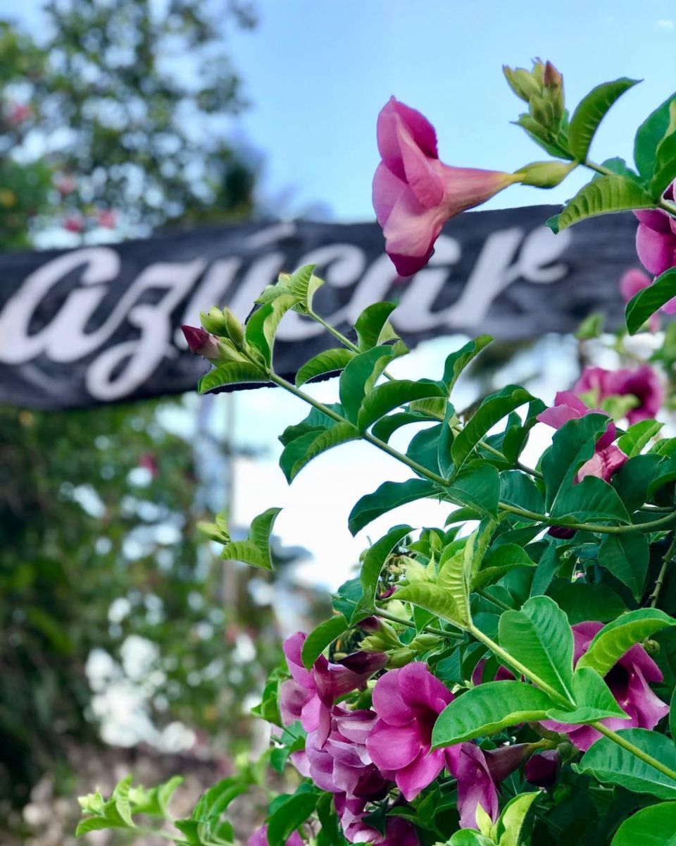 Azúcar es un hotel que rinde homenaje a Celia Cruz