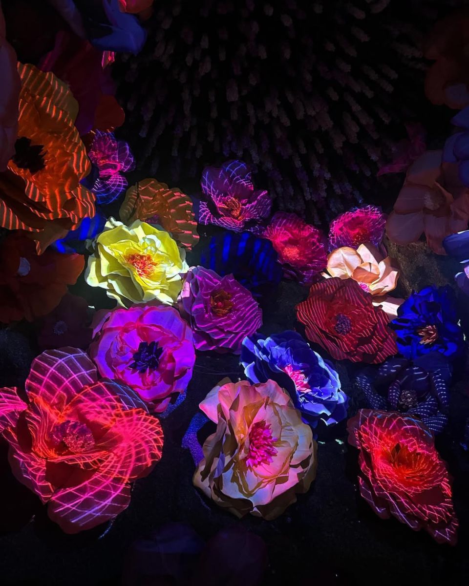 Sala interactiva de rosas gigantes en IMMMU