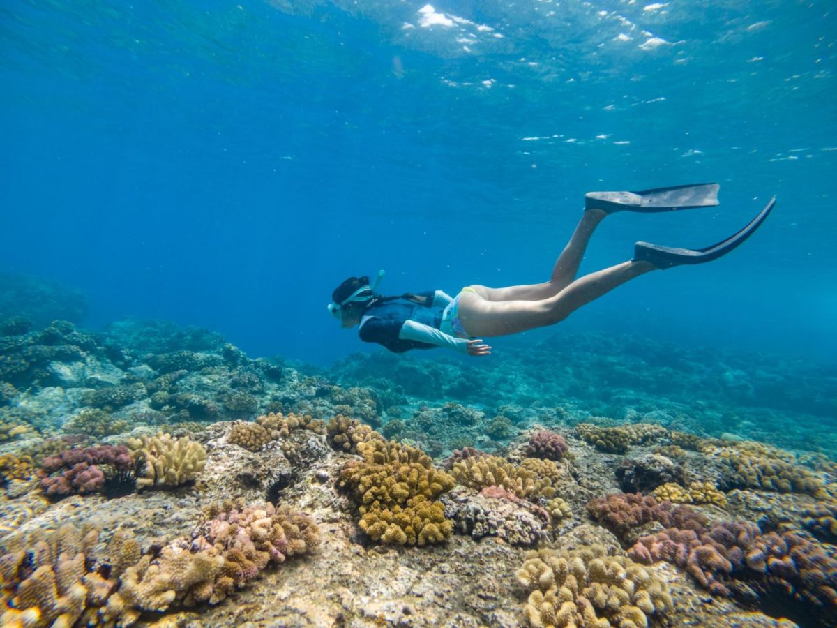 En Isla Mujeres se pueden practicar diferentes actividades acuáticas 