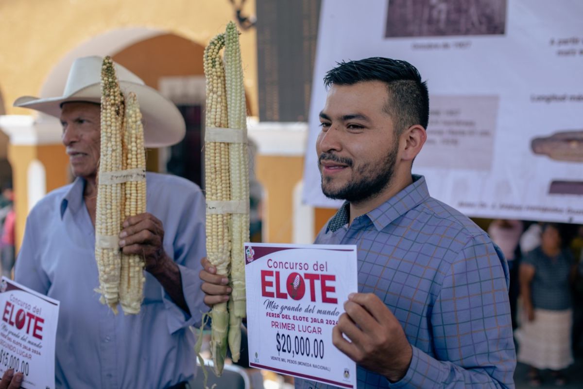 Concurso del Elote más grande en Jala, Nayarit