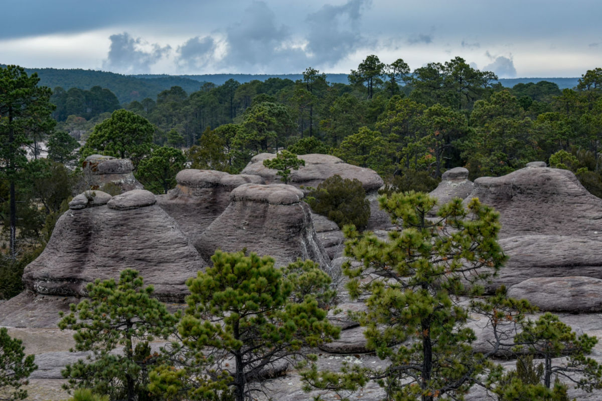 El Jardín de Piedras está dentro del Parque Natural Mexiquillo en Durango