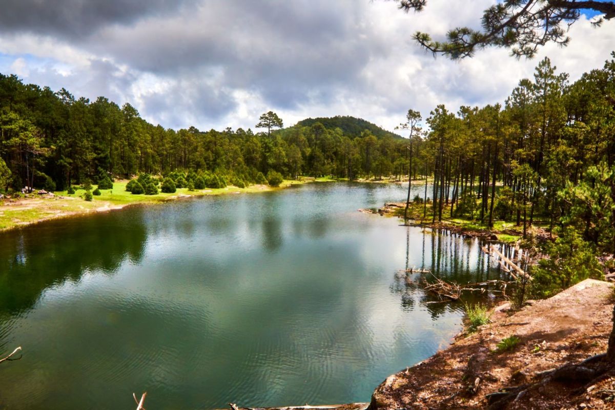 Uno de los ríos que cruzan el Parque Natural Mexiquillo en Durango