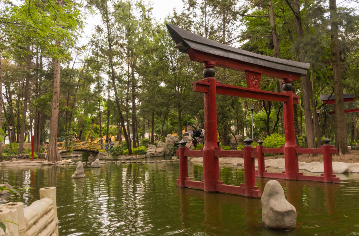 Jardines japoneses en CDMX para romancear