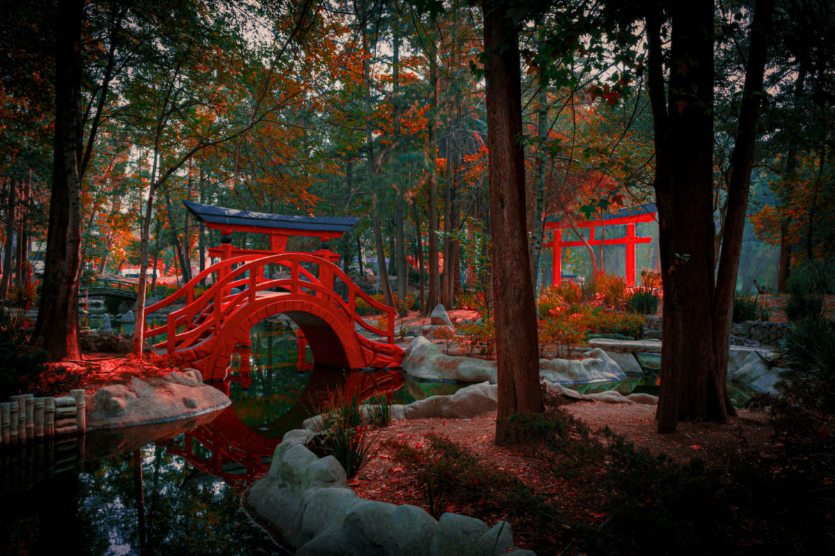 Parque Masayoshi Ohira, al sur de la CDMX