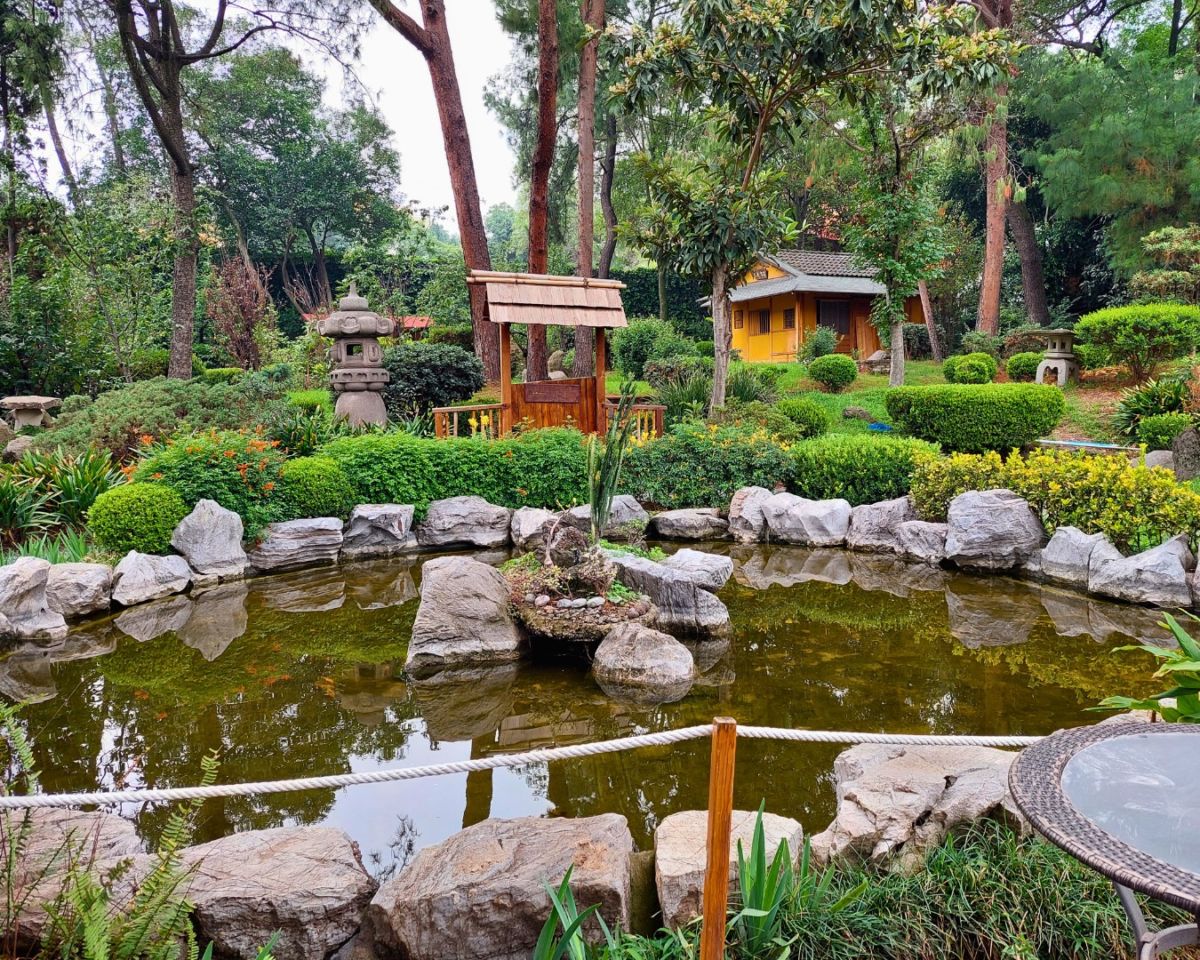 Jardín japonés de la Asociación México Japonesa