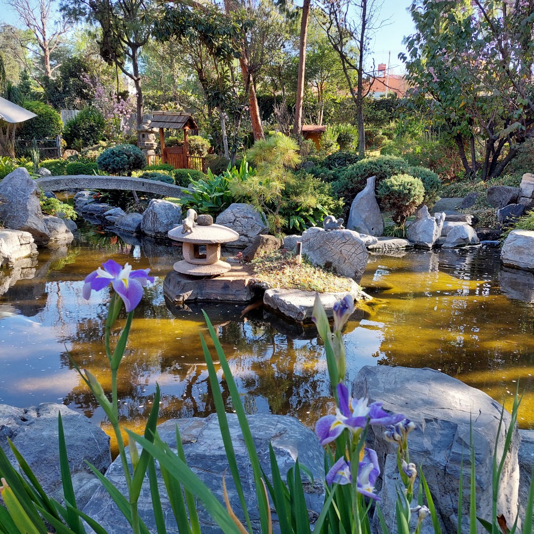 Jardines japoneses, espacios diseñados para la contemplación y la meditación