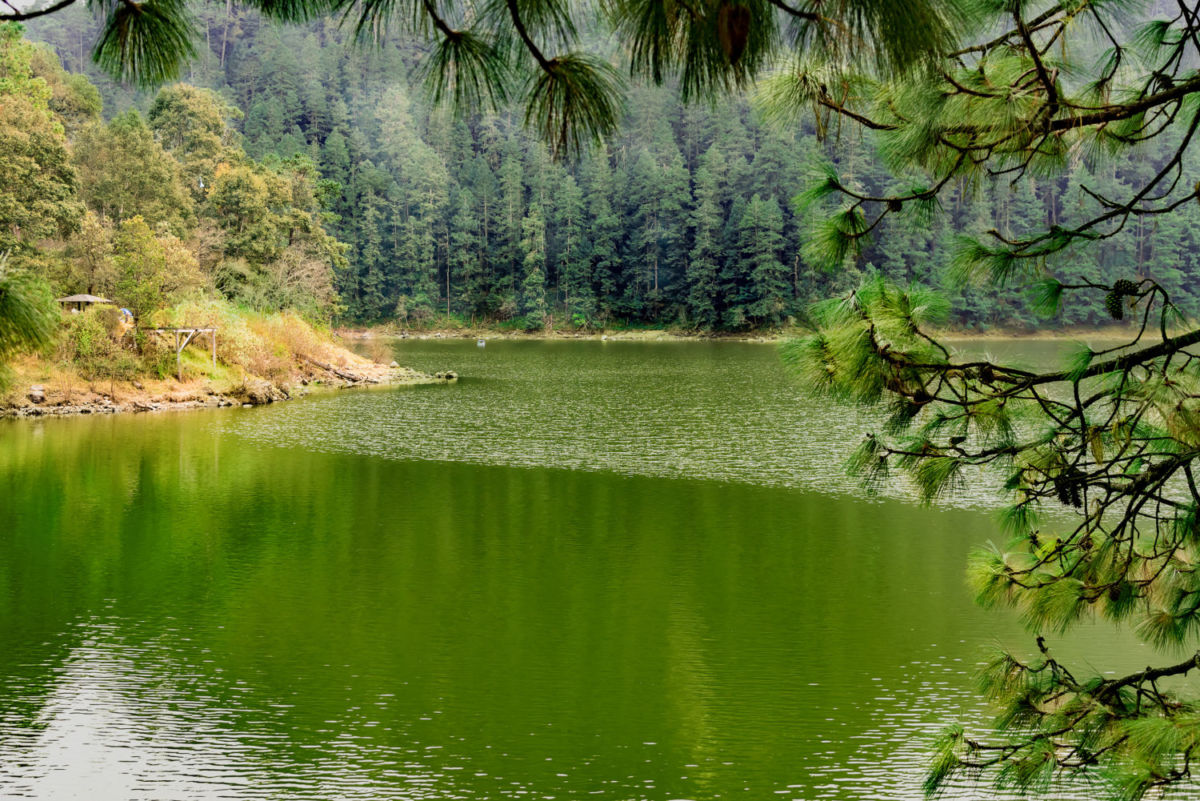 Lagunas naturales en México 