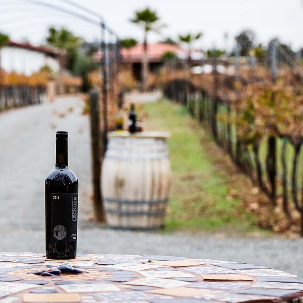 Bodega de vinos 'Lechuza' en Valle de Guadalupe. 