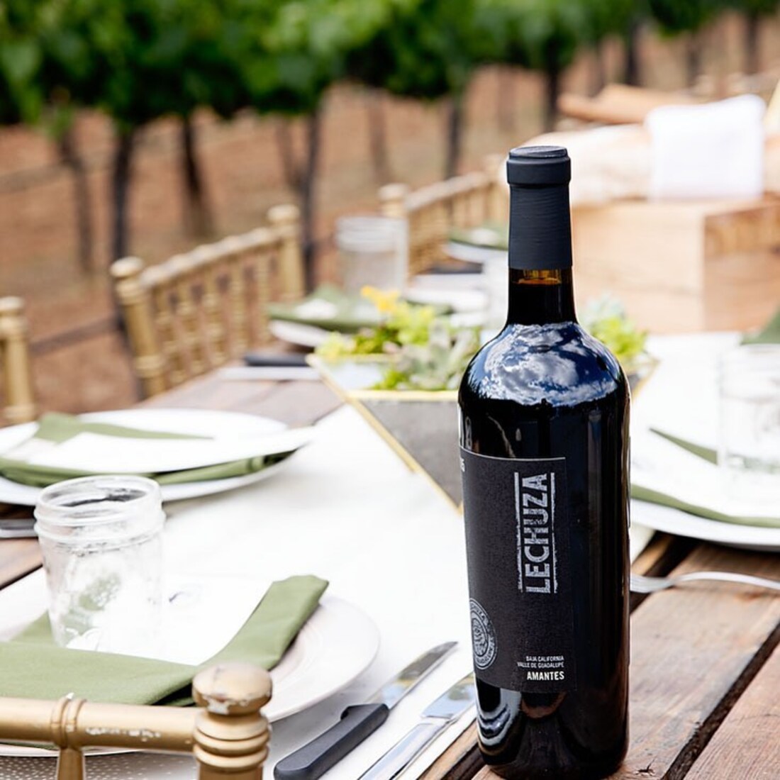 Amantes por Viñedos Lechuza en Baja California. 