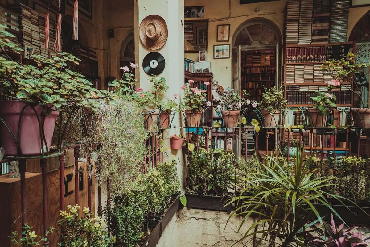 Descubre la librería escondida en una casona porfiriana de la Santa María la Ribera