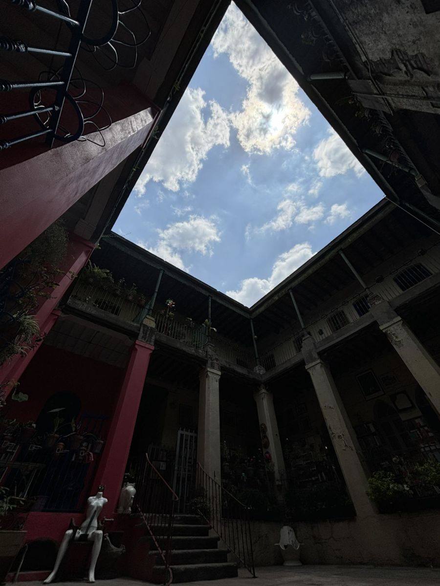 Patio de la Librería Niña Oscura en Santa María la Ribera