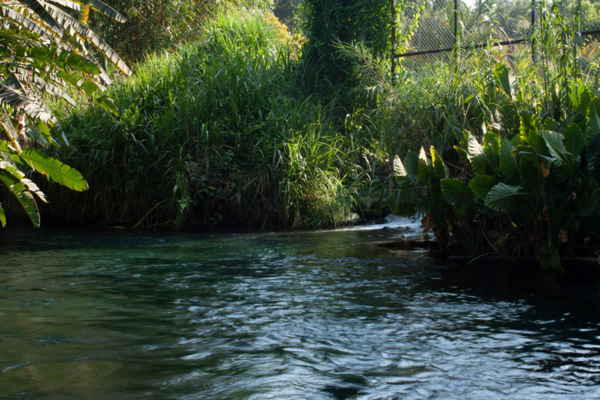 El manantial más grande de Morelos