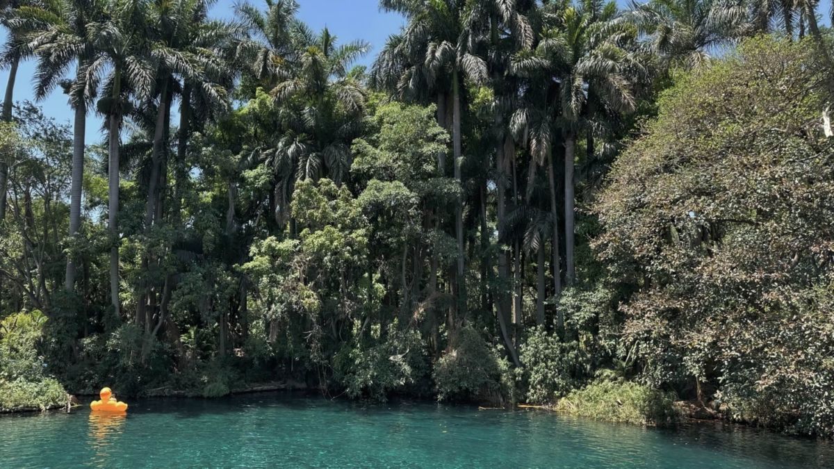 Cuando la nieve del Popocatépetl se derrite, termina en este río turquesa ideal para ir a nadar cerca de la CDMX