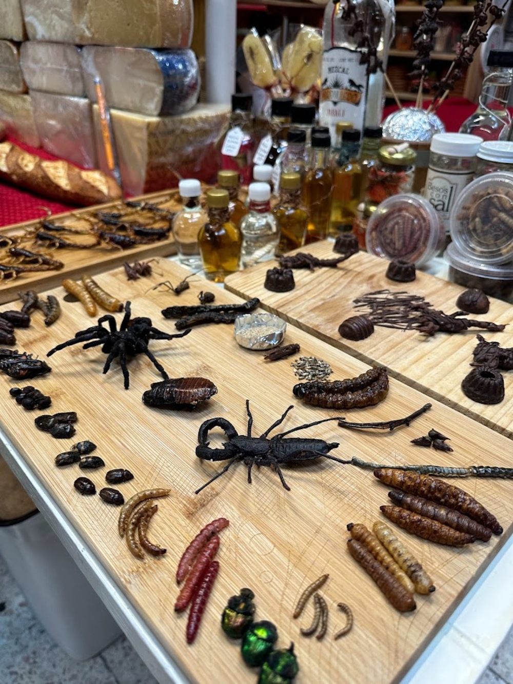 insectos en el mercado san juan pugibet