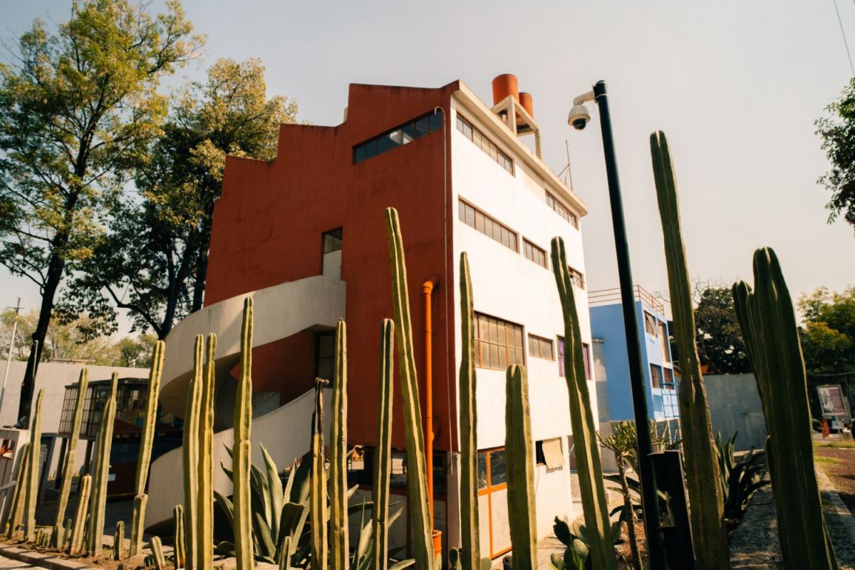 Destaca la cerca de cactos, un elemento del diseño mexicano