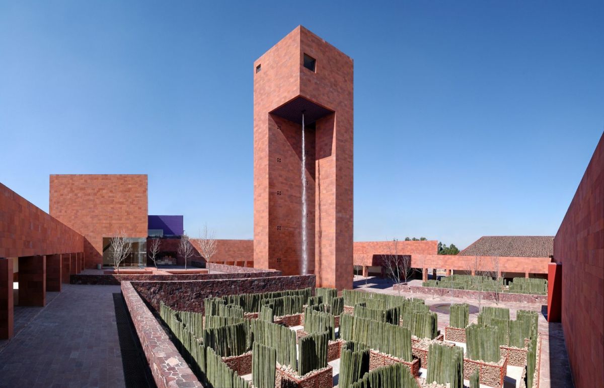 Descubre el único museo en México con un laberinto de cactus