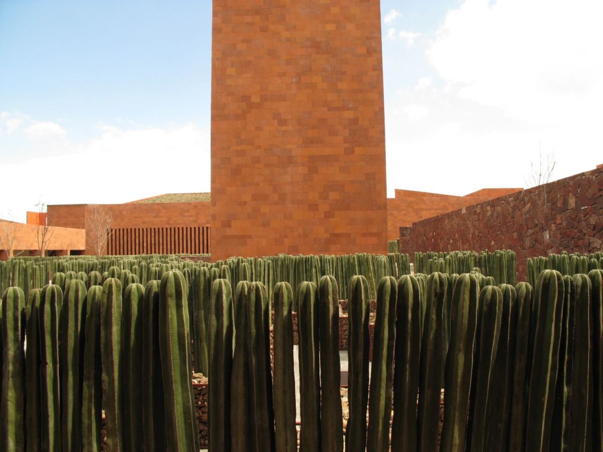 Laberinto de Cactus, el espacio central de todo el museo