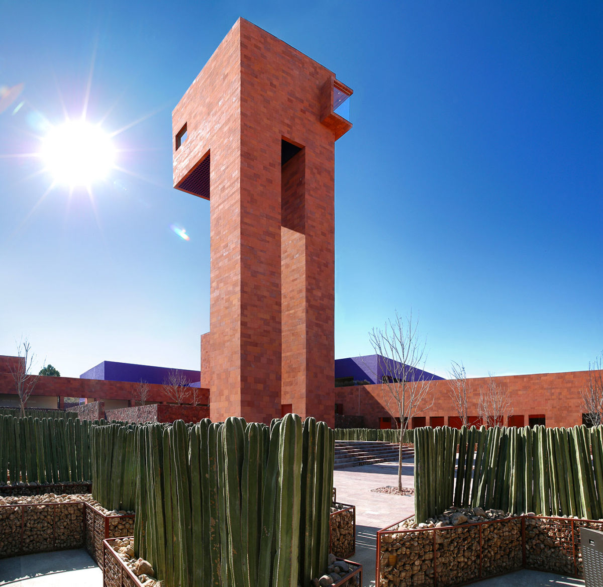 Laberinto de cactus y el observatorio estelar