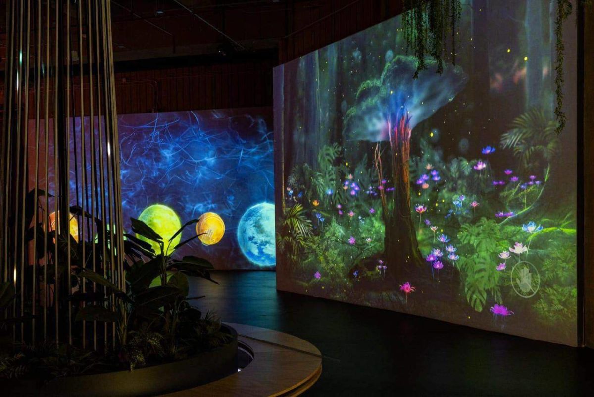 Museo Yancuic dedicado a la divulgación de la biodiversidad, el cambio climático y la sostenibilidad ambiental