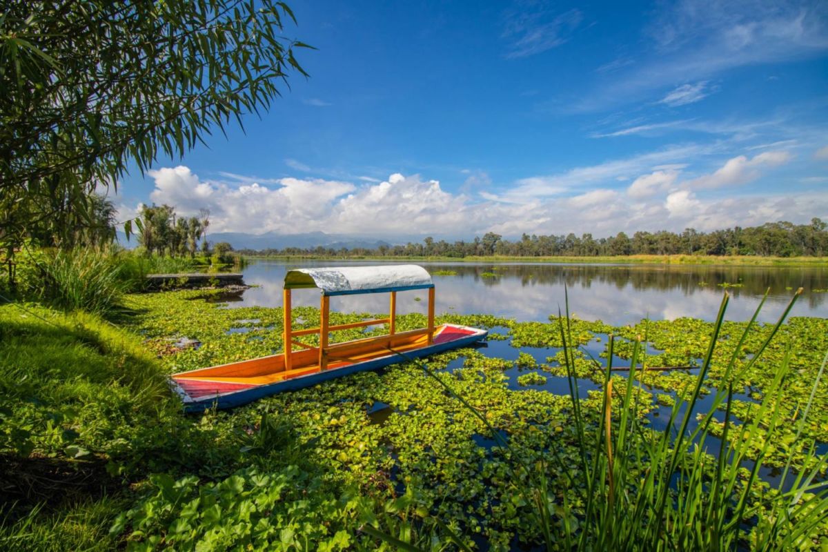 No solo en los embarcaderos de Xochimilco, este parque en CDMX también tiene trajineras
