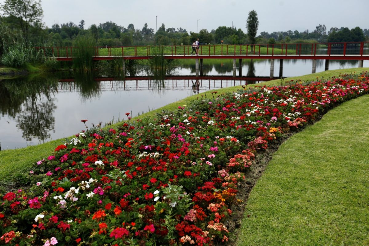 Jardineras con flores multicolores en el Parque Ecológico de Xochimilco
