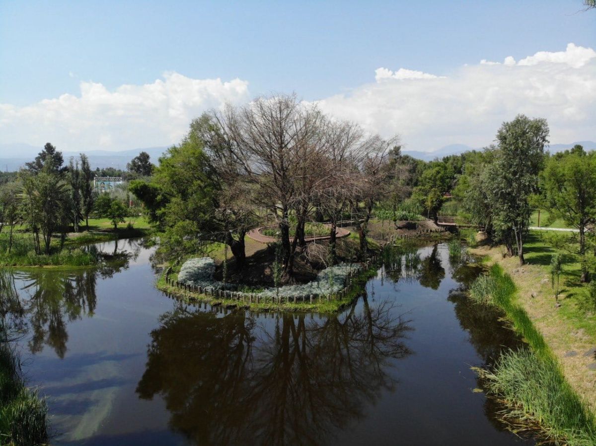 Hermosos humedales del Parque Ecológico de Xochimilco