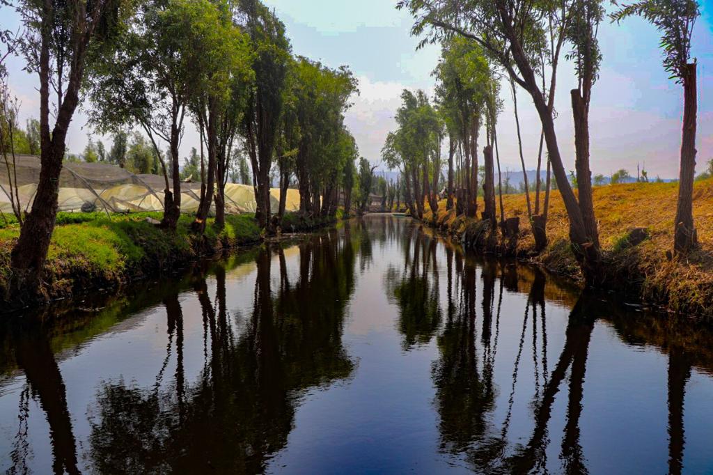 Hermosos humedales del Parque Ecológico de Xochimilco