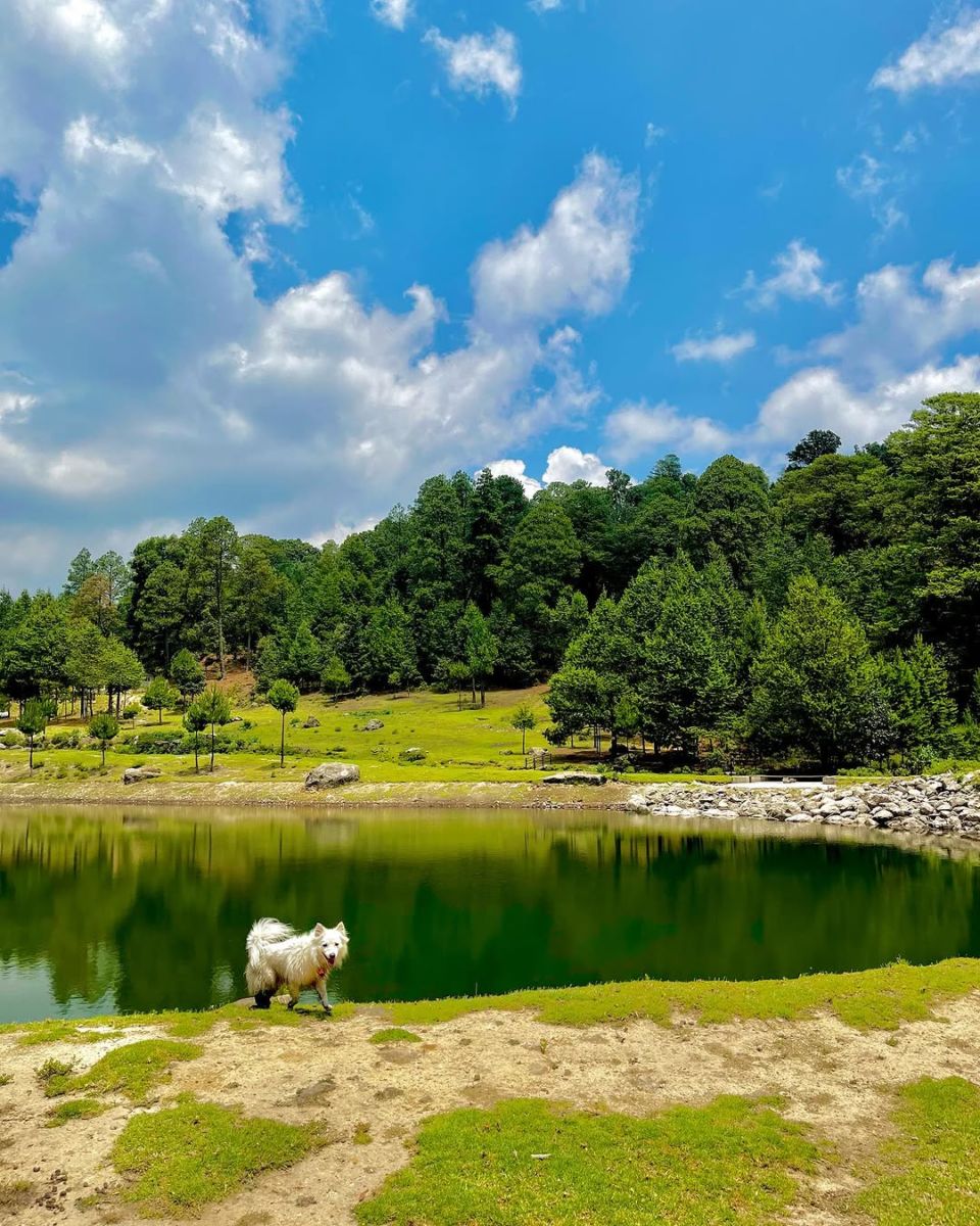 Llano de Lobos es un parque dog-friendly