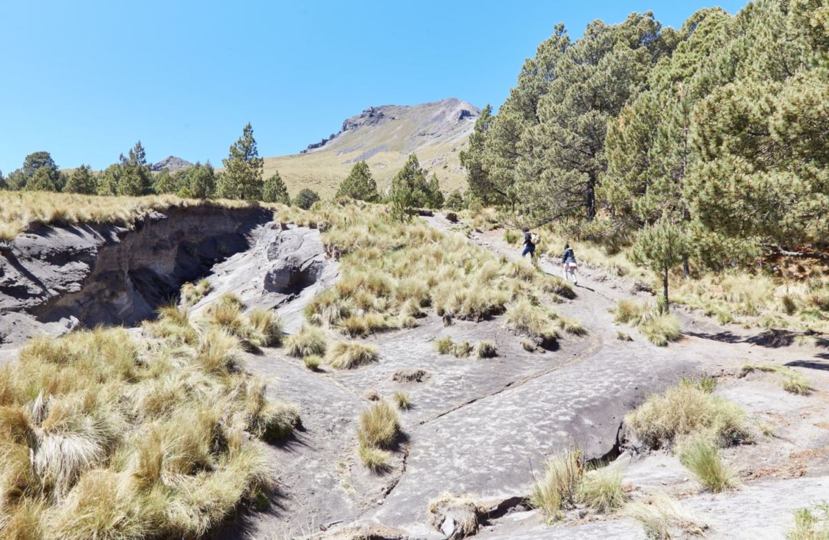 Parque Nacional La Malinche