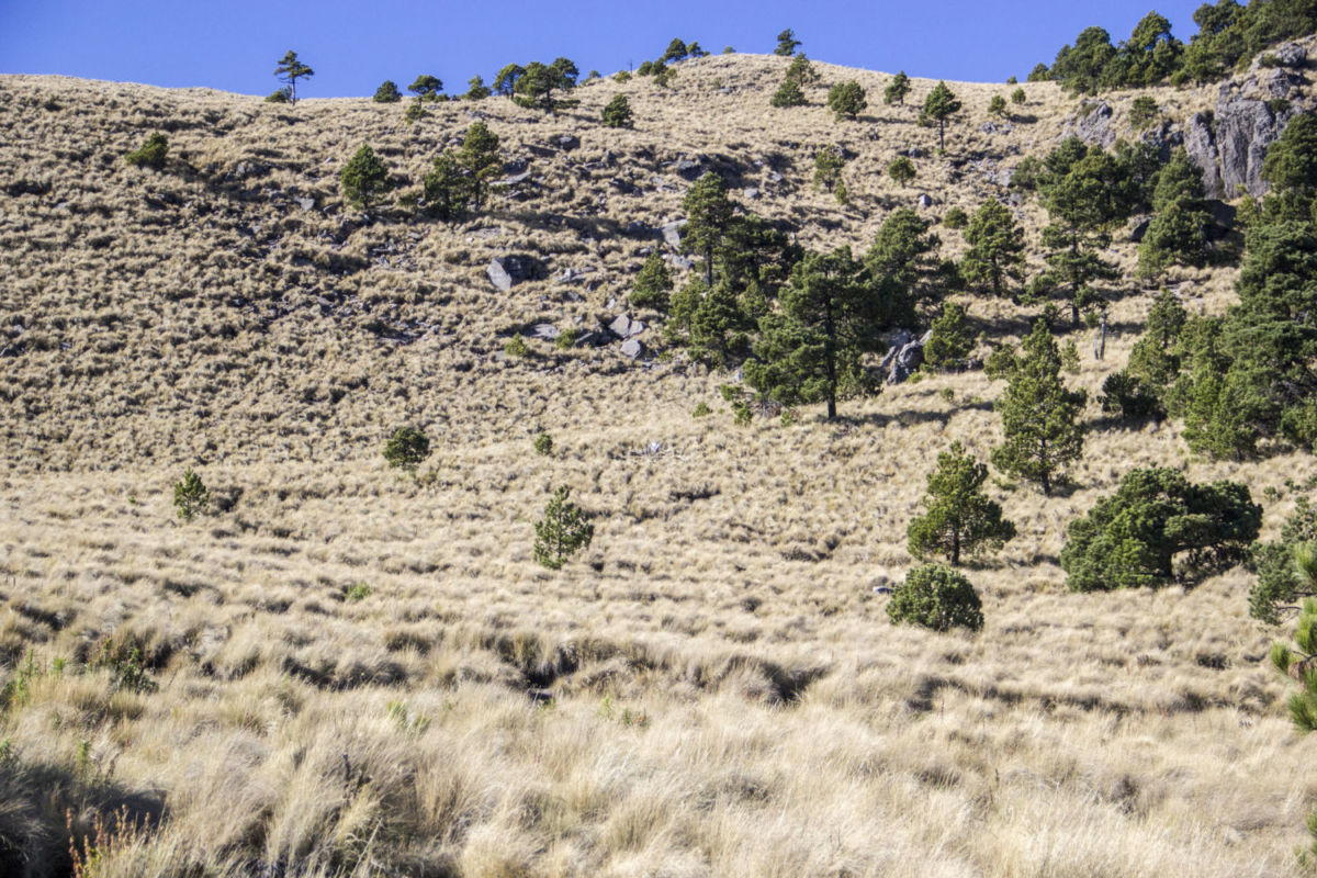 La quinta montaña más alta de México