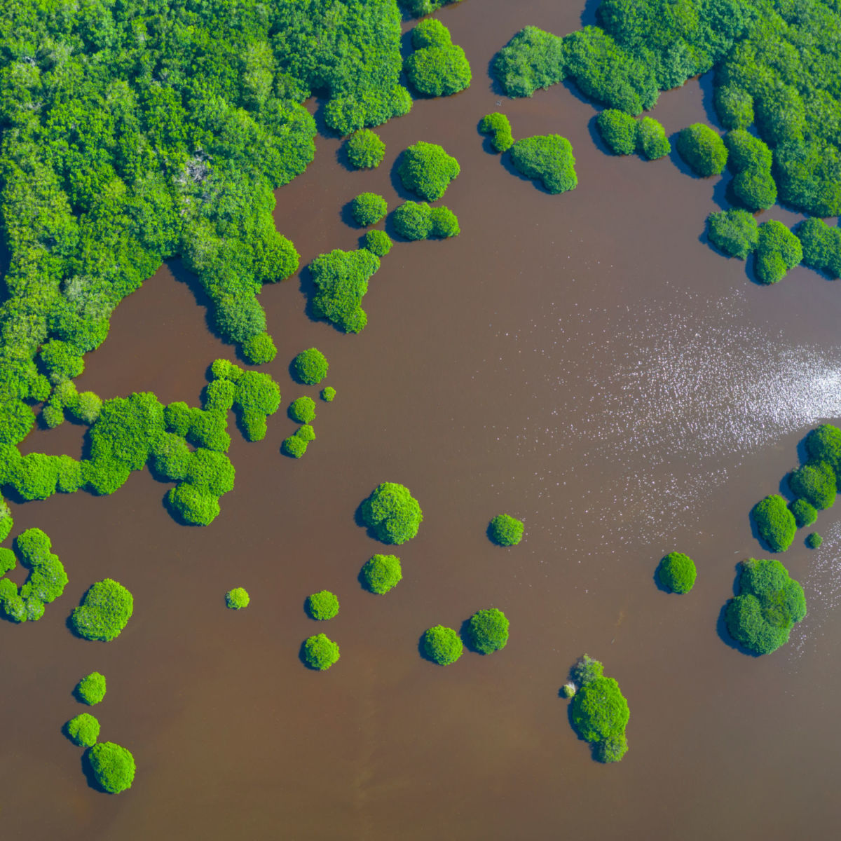 Vista aérea de la reserva natural de Nayarit 