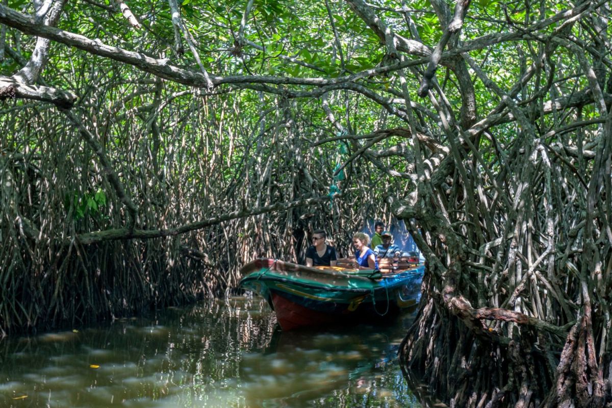 Este es el lugar donde se une el agua dulce del manantial con el agua salada del mar y el recorrido solo cuesta $150 pesos 