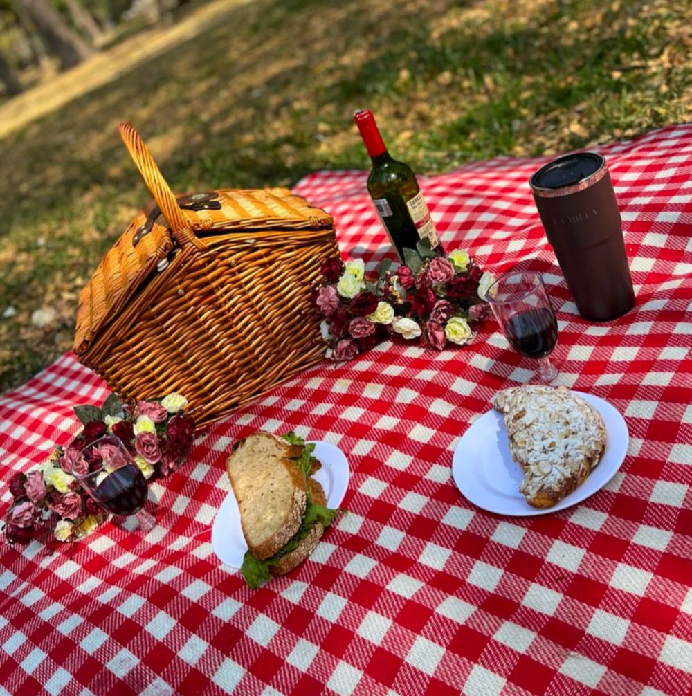 El kit perfecto de picnic para gozar con amigas en Chapultepec. 