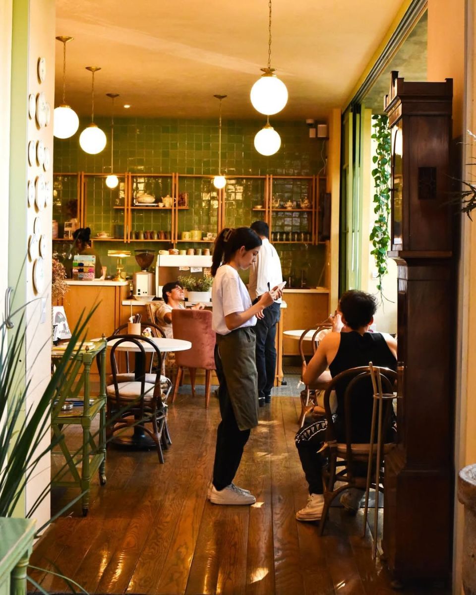 damiana café y libros en guadalajara