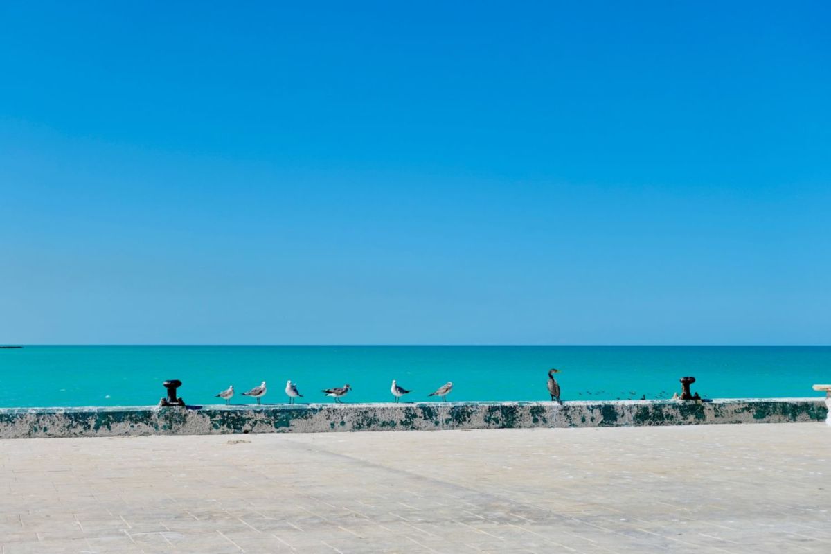 El Cuyo es un pueblo pesquero en Yucatán 