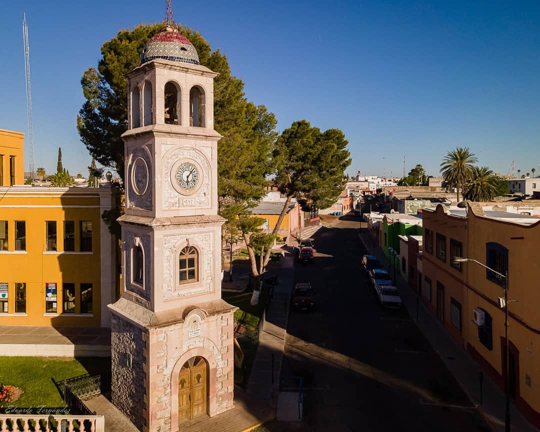 Camargo es el principal productor de chile chipotle en México