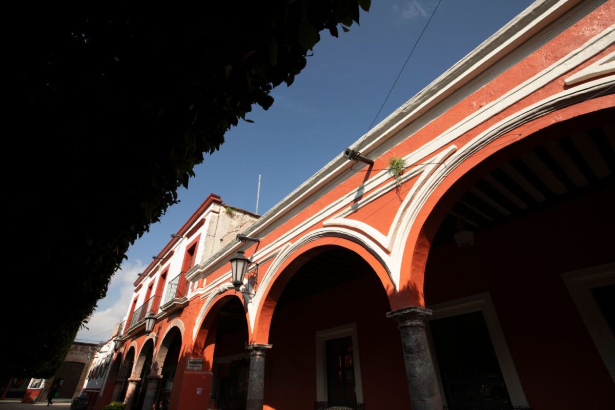 Jiquilpan también es conocido como 'la ciudad de las jacarandas'.