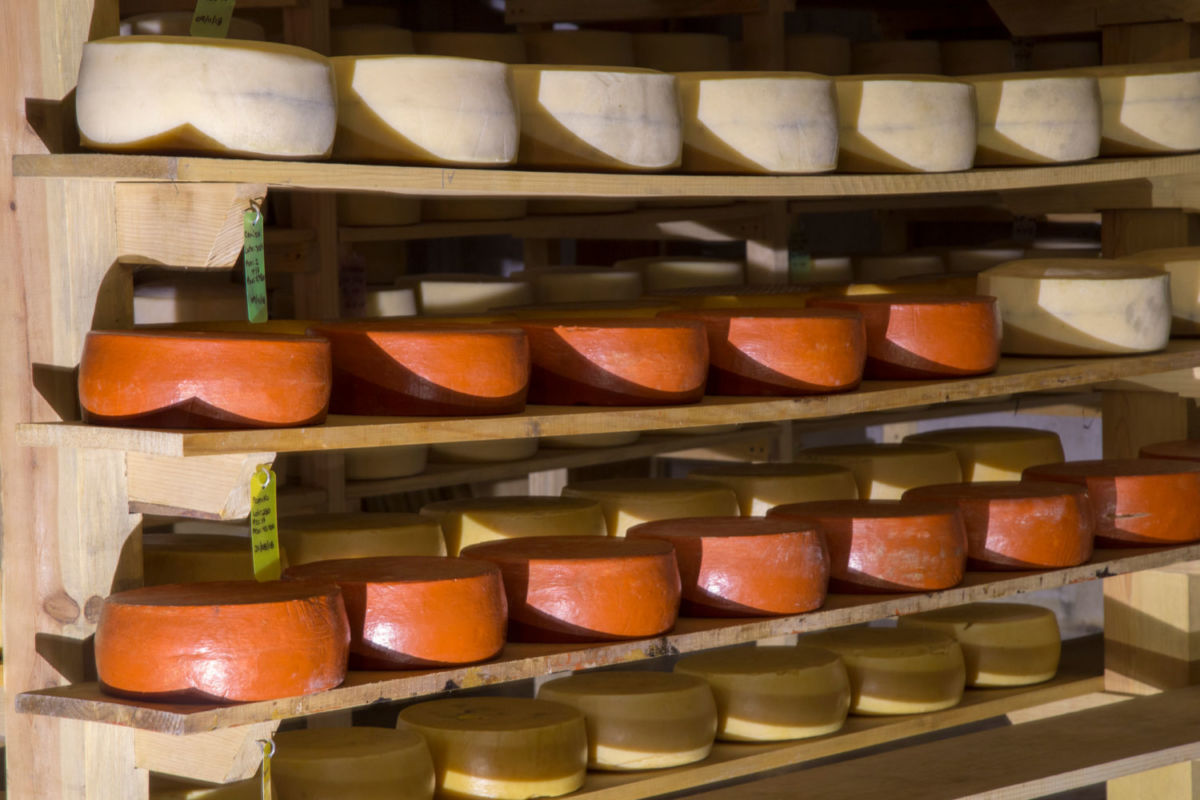 Tequisquiapan es famoso por la Ruta del queso y vino 