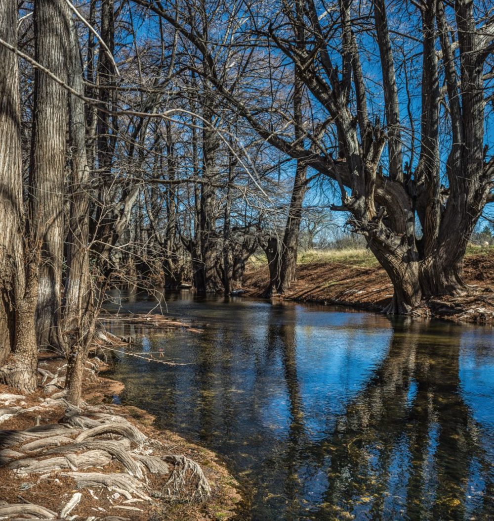Ojo de Agua de los Becerros en el Pueblo Mágico Nombre de Dios