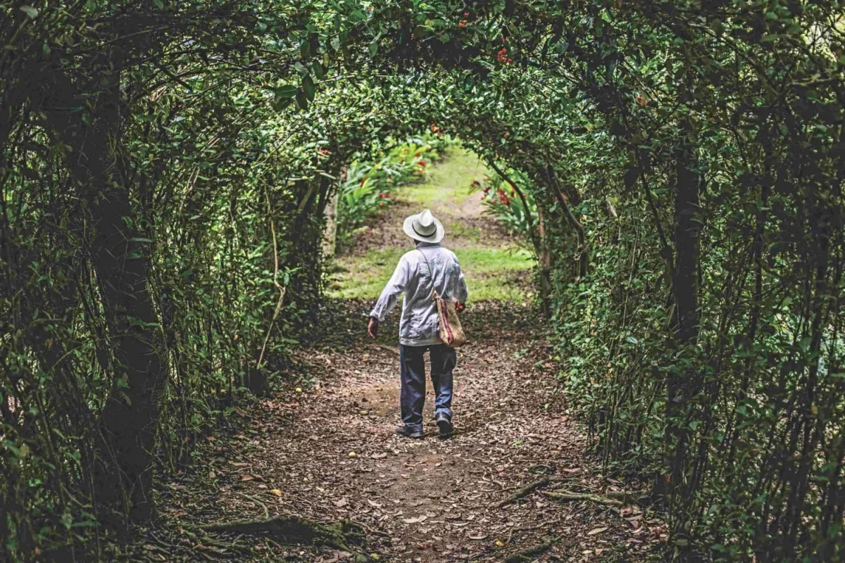 Jardín Botánico de Dios en Tapijulapa
