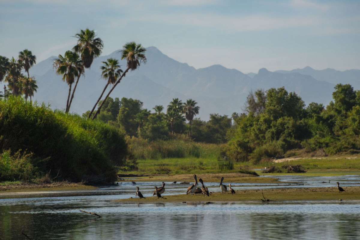 el estero de san josé del cabo es un área natural protegida