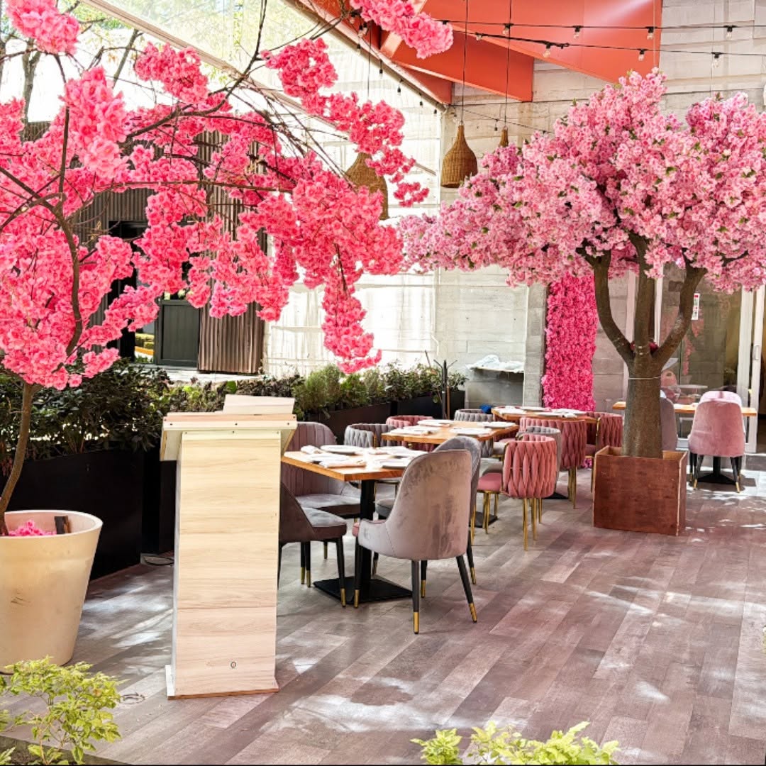 pink restaurante se caracteriza por su cocina internacional