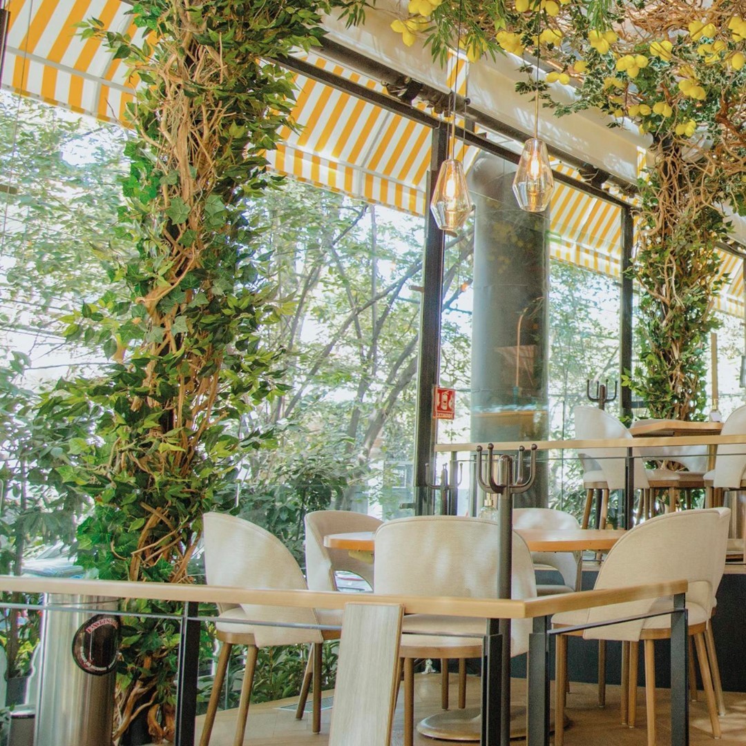 los limones de Mandolina llenan de frescura el lugar mientras le dan un pop de color