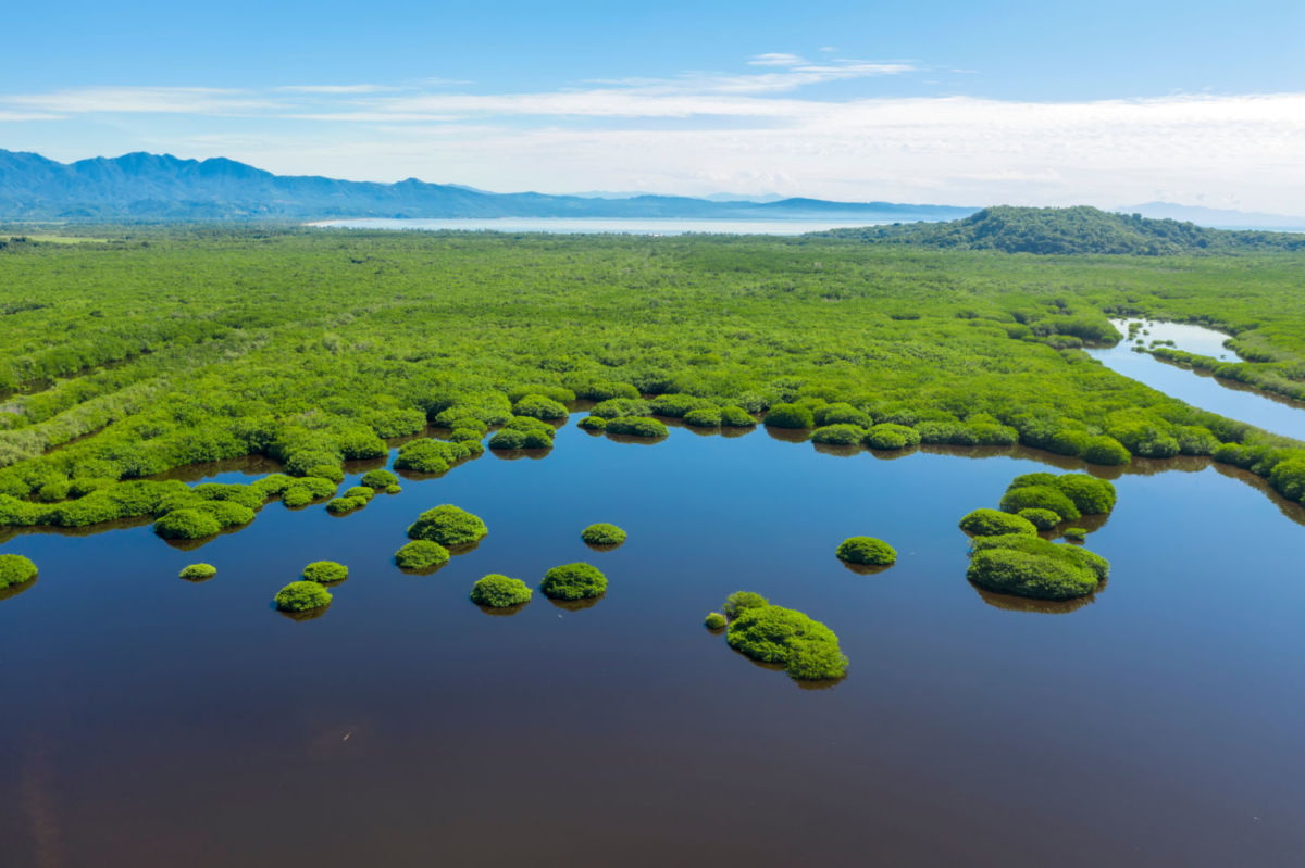 San Blas es un pueblo playero ubicado muy cerca de Tepic 
