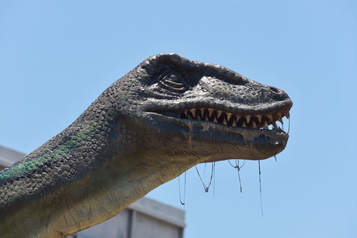 Sendero Jurásico, un lugar para divertirse y aprender sobre la vida de los dinosaurios. 