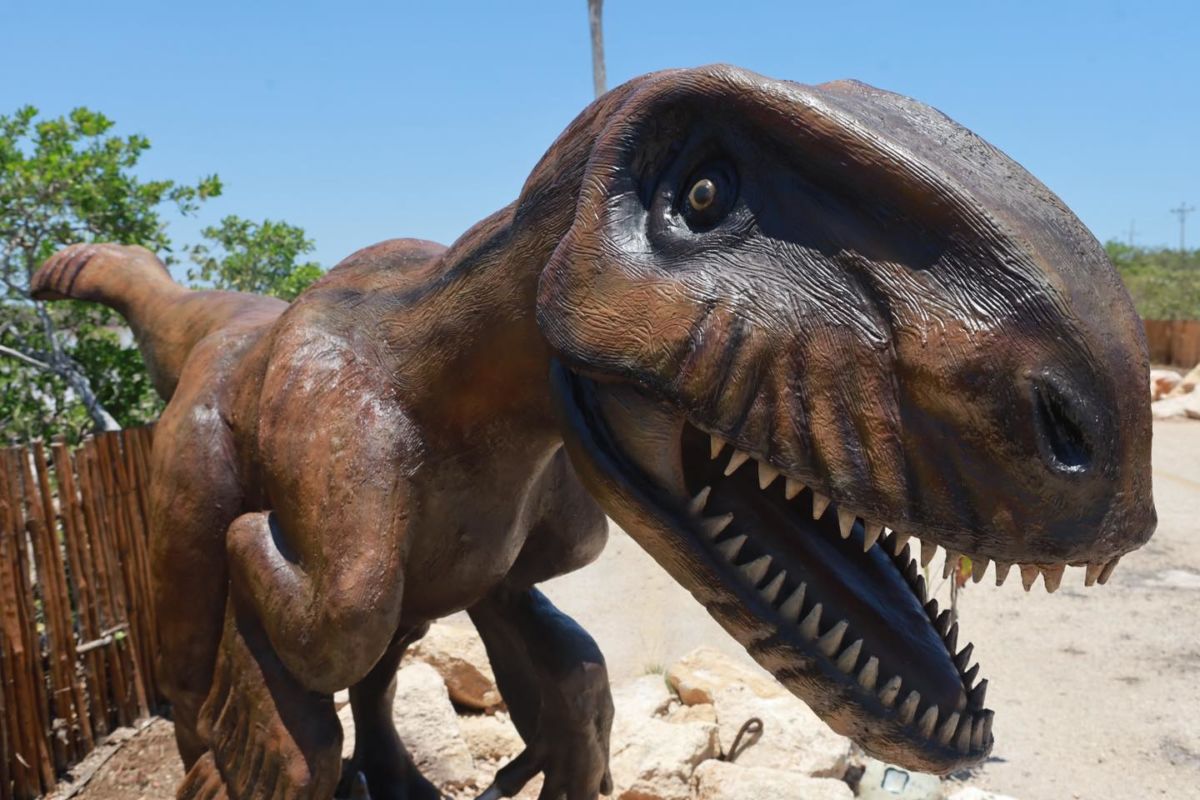 El parque se encuentra a solo 45 minutos de Mérida
