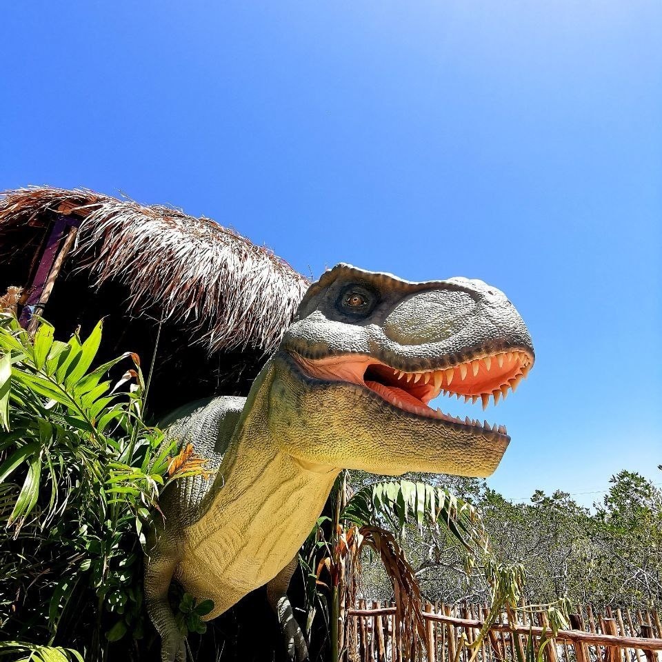 Sendero Jurásico, ubicado en el camino al cráter Chicxulub donde cayó el meteorito
