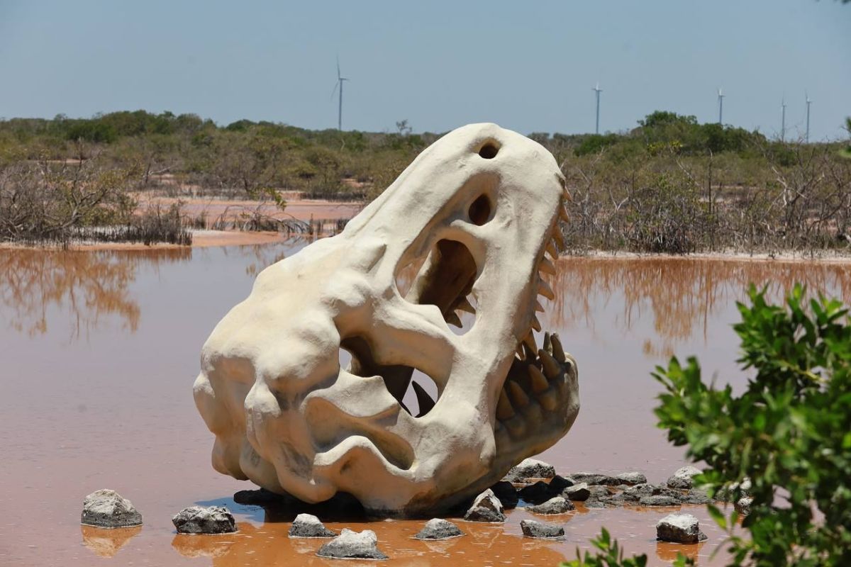 El Sendero Jurásico ofrece una exposición de fósiles jurásicos