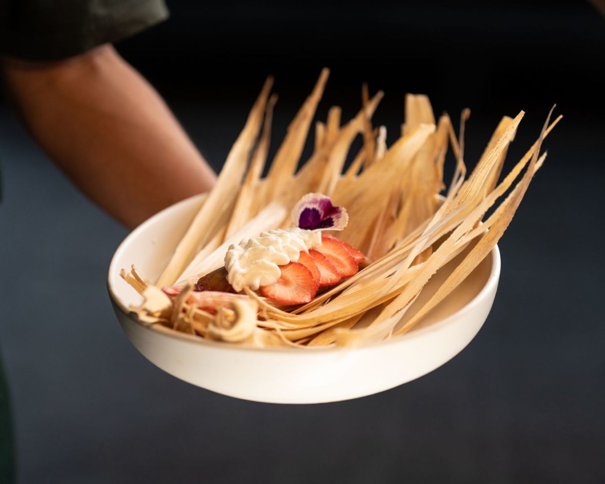 ¿Tamales con cerveza? Sí, el maridaje que te urge probar en este bar de la Roma